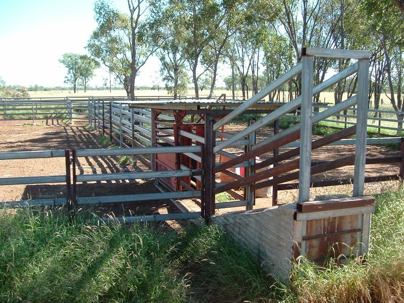 Roma QLD 4455