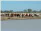Roma QLD 4455