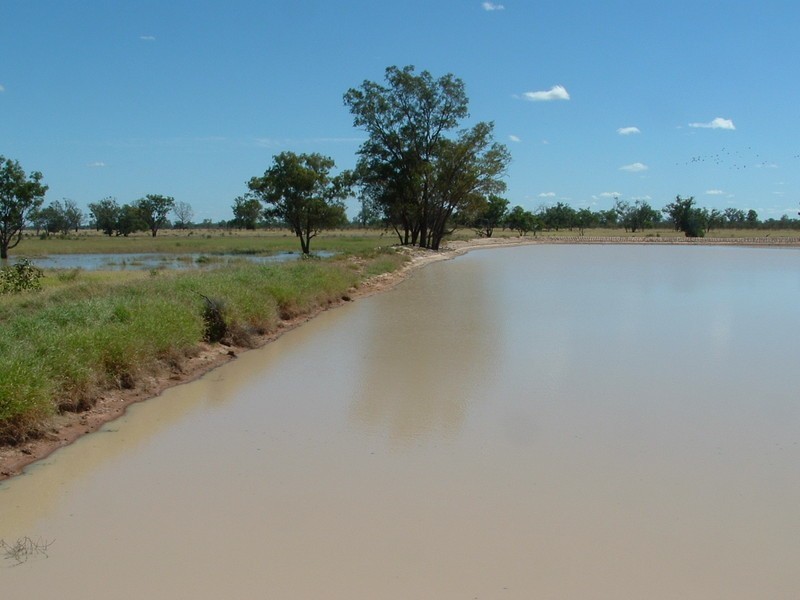 Roma QLD 4455