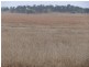 ” Gladevilla”, Roma QLD 4455