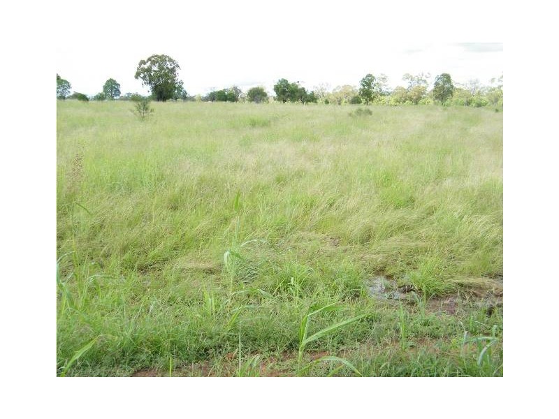 ” Annandale”, Wallumbilla QLD 4428