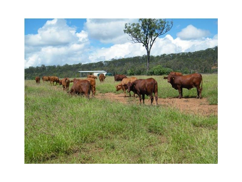” Annandale”, Wallumbilla QLD 4428