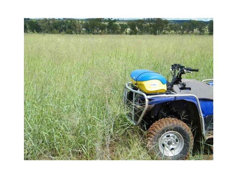 ” Annandale”, Wallumbilla QLD 4428