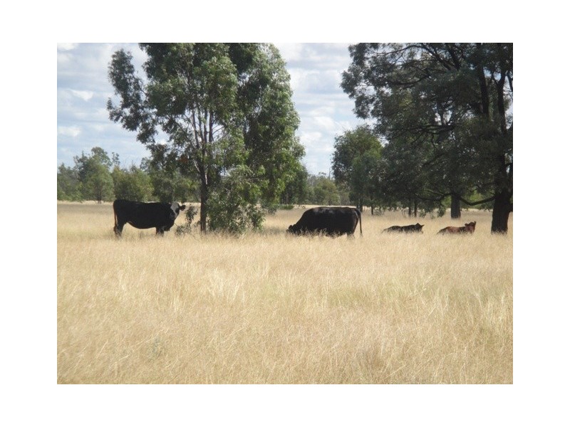 ” CHALLESTON “, Miles QLD 4415