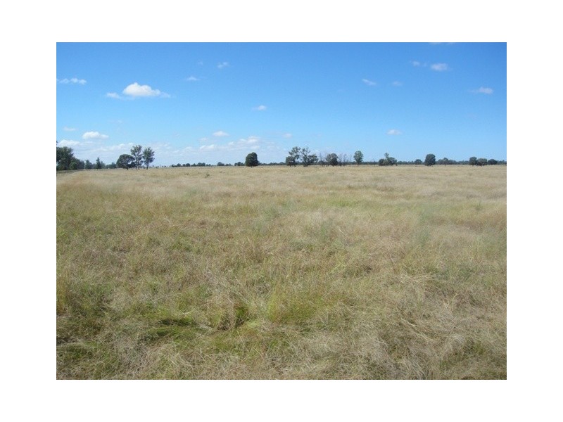 ” CHALLESTON “, Miles QLD 4415