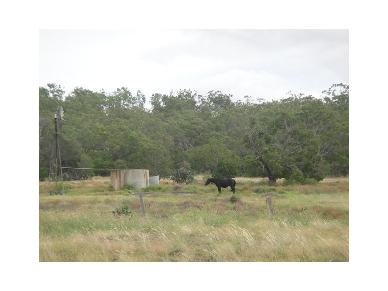 ” CHALLESTON “, Miles QLD 4415