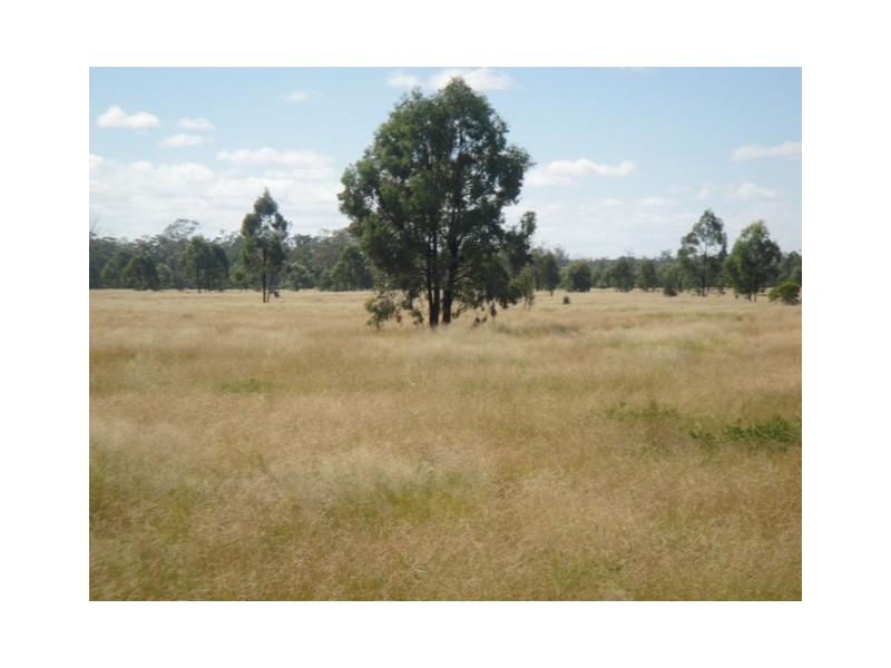 ” CHALLESTON “, Miles QLD 4415