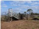 ” Inniscraig”, Roma QLD 4455