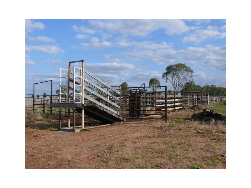 ” Inniscraig”, Roma QLD 4455