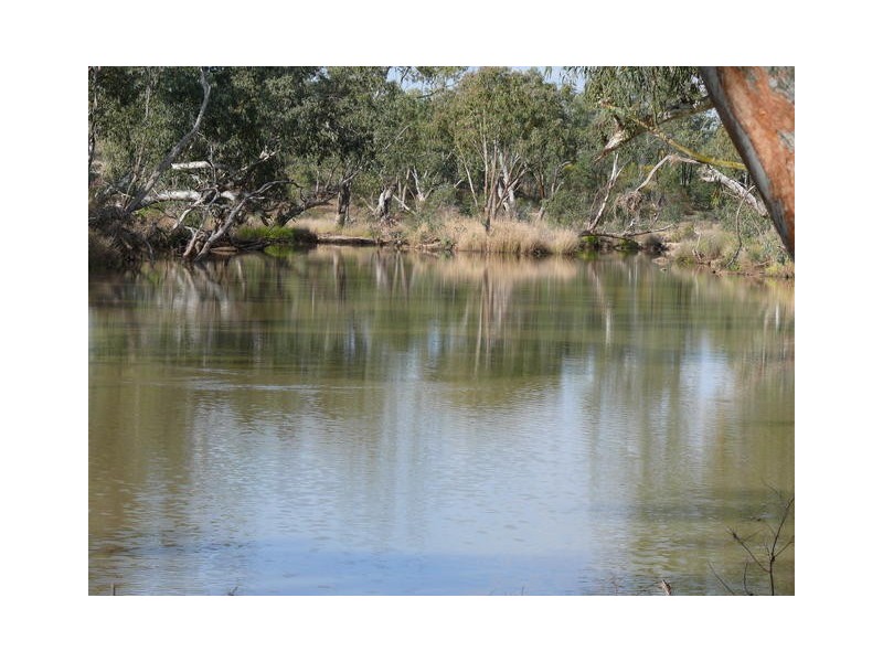 ” Inniscraig”, Roma QLD 4455