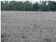 ” Inniscraig”, Roma QLD 4455