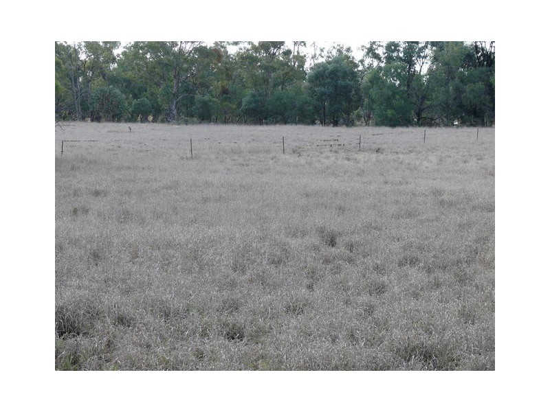 ” Inniscraig”, Roma QLD 4455