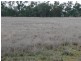 ” Inniscraig”, Roma QLD 4455