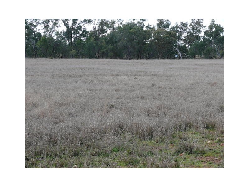 ” Inniscraig”, Roma QLD 4455