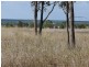 ” Inniscraig”, Roma QLD 4455