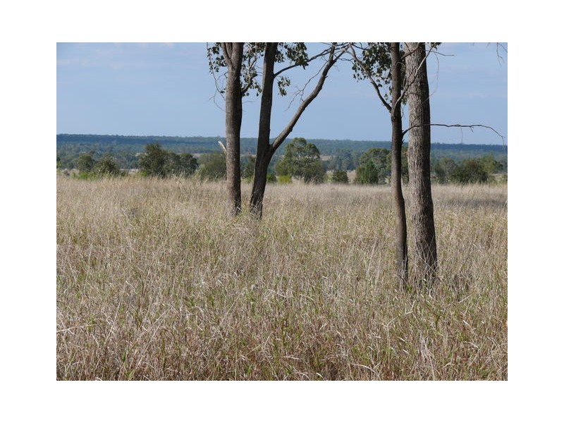 ” Inniscraig”, Roma QLD 4455