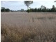 ” Inniscraig”, Roma QLD 4455