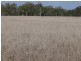 ” Inniscraig”, Roma QLD 4455