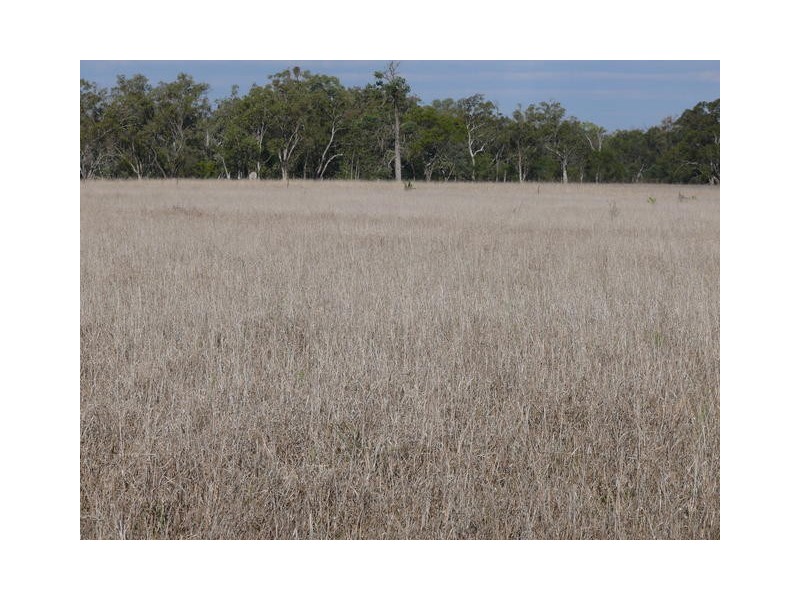 ” Inniscraig”, Roma QLD 4455