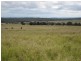 Proston QLD 4613