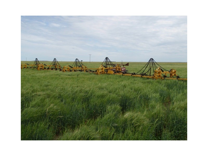 ‘ Tara’, Hebel QLD 4486