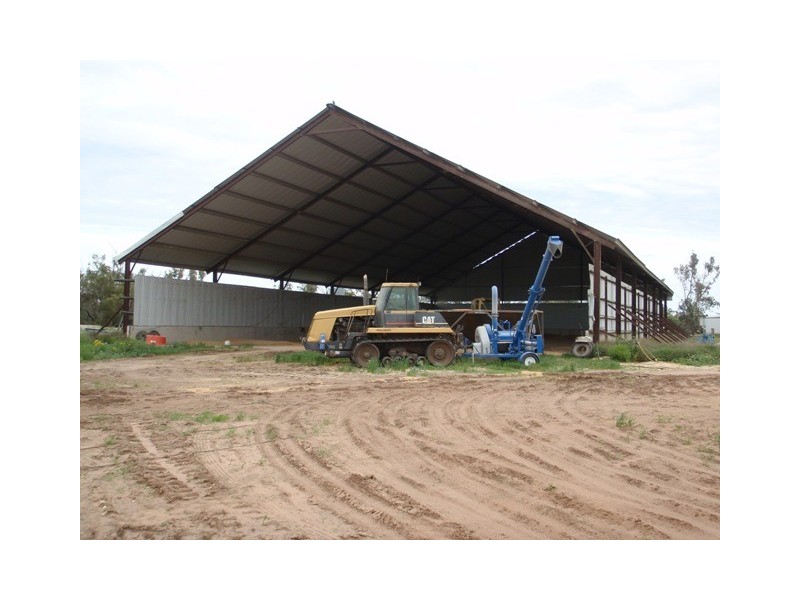 ‘ Tara’, Hebel QLD 4486