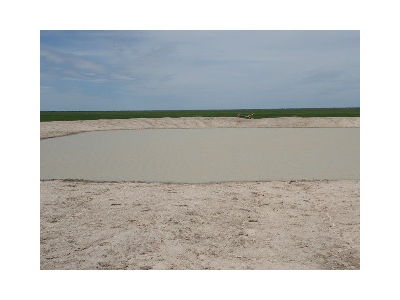 ‘ Tara’, Hebel QLD 4486