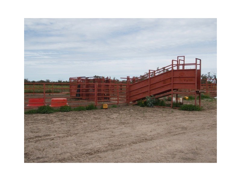 ‘ Tara’, Hebel QLD 4486