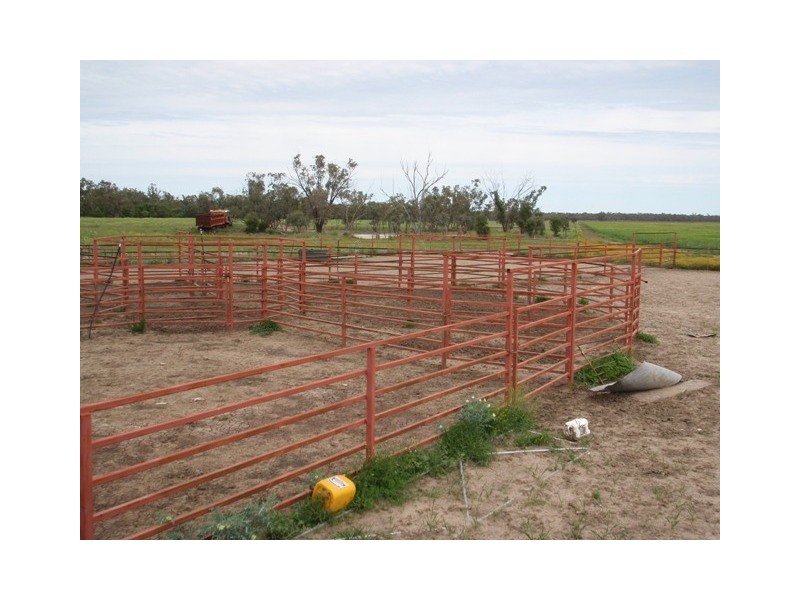 ‘ Tara’, Hebel QLD 4486