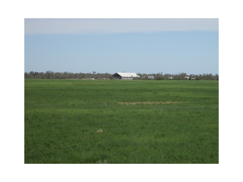 ‘ Tara’, Hebel QLD 4486