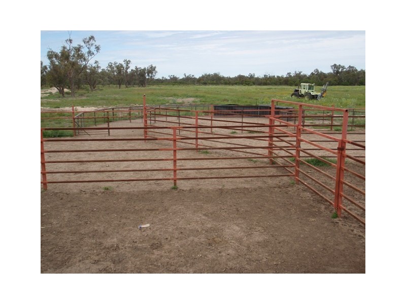 ‘ Tara’, Hebel QLD 4486