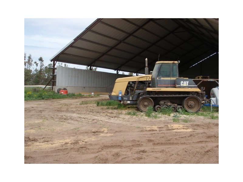 ‘ Tara’, Hebel QLD 4486