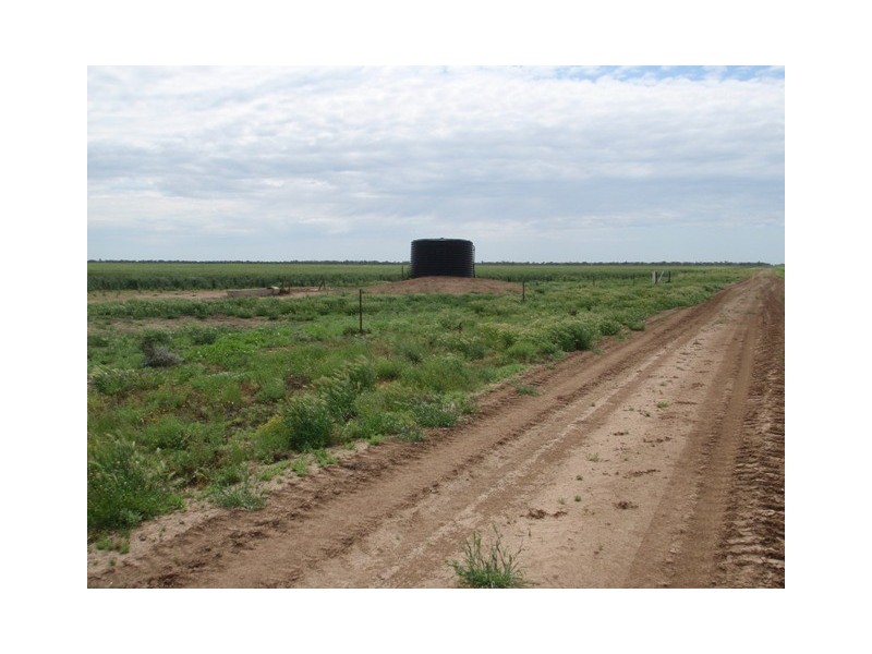 ‘ Tara’, Hebel QLD 4486