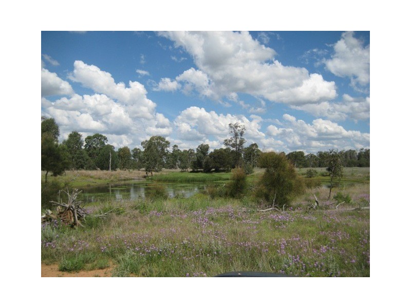 Condamine QLD 4416