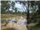 Condamine QLD 4416