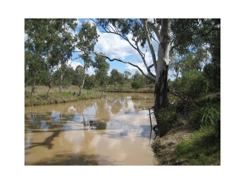 Condamine QLD 4416
