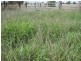 Condamine QLD 4416