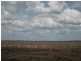 Condamine QLD 4416