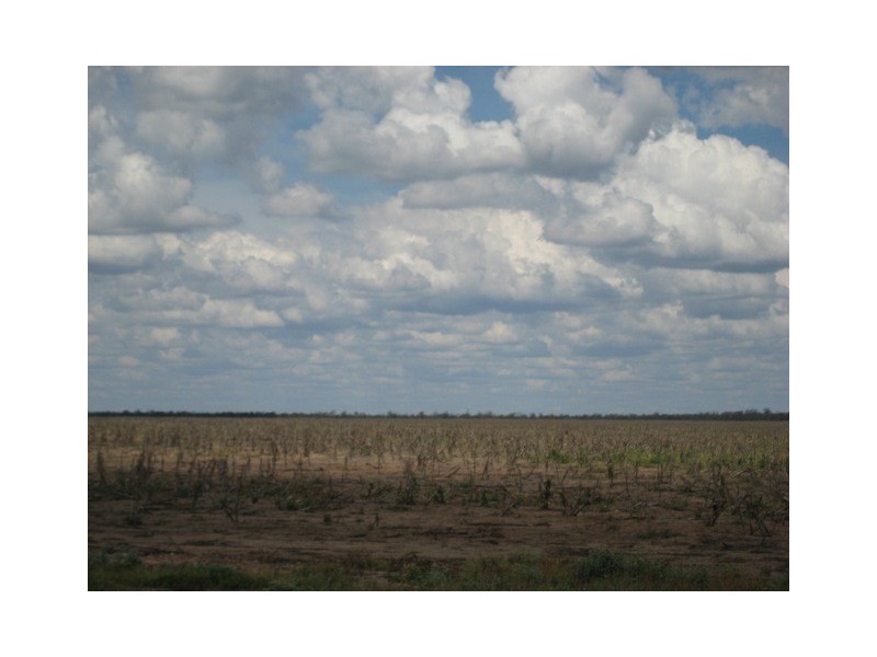 Condamine QLD 4416