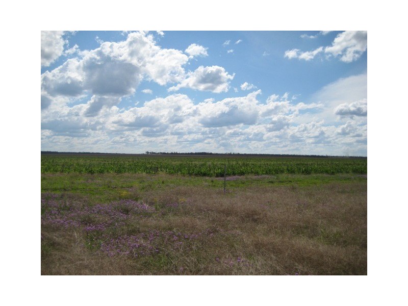 Condamine QLD 4416