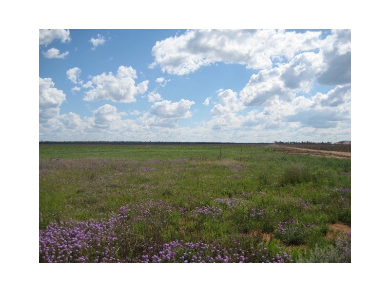 Condamine QLD 4416