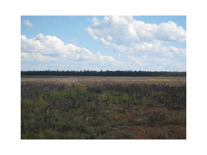 Condamine QLD 4416
