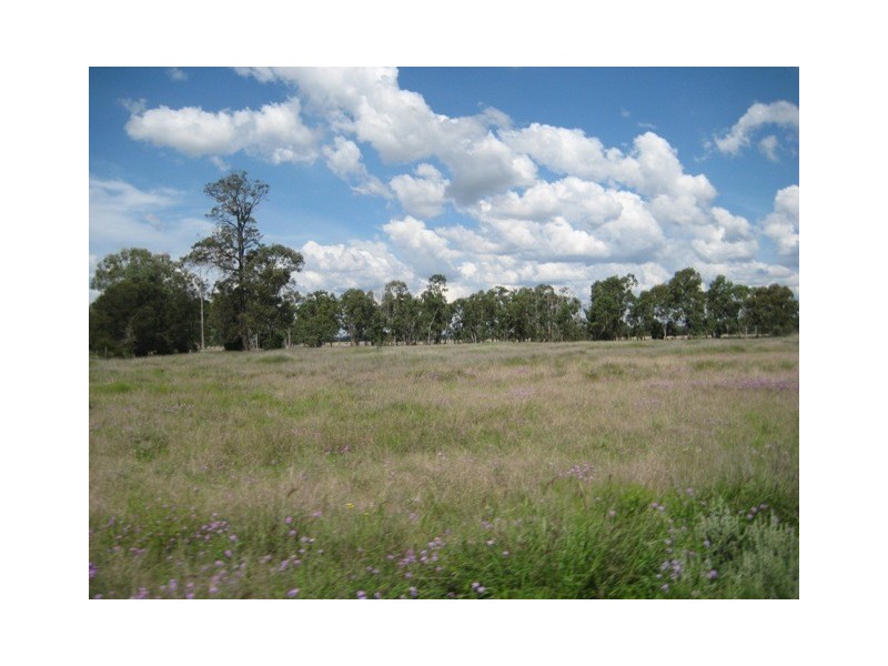 Condamine QLD 4416