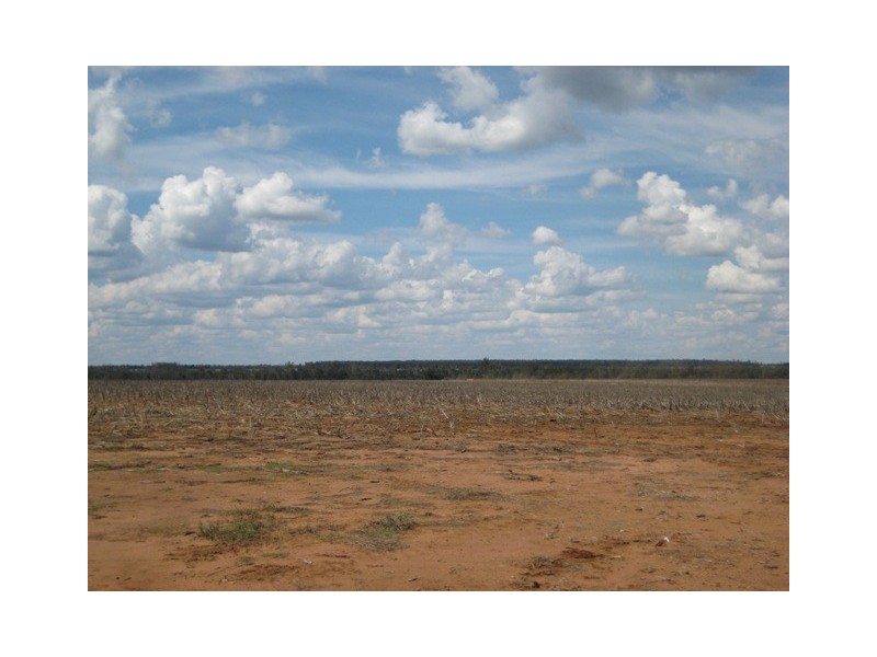 Condamine QLD 4416