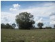 Condamine QLD 4416