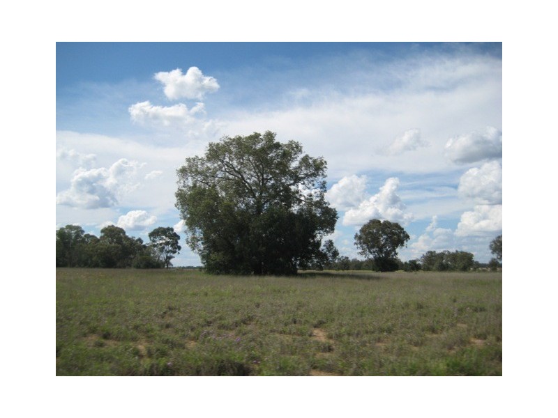 Condamine QLD 4416