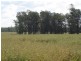 Condamine QLD 4416