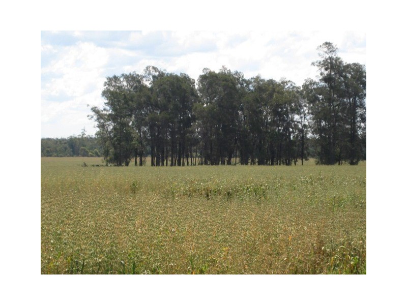 Condamine QLD 4416