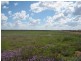 Condamine QLD 4416