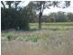 Condamine QLD 4416